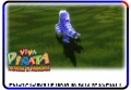 Thumbnail for version as of 21:27, 27 April 2009