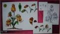 Thumbnail for version as of 23:12, 14 September 2009